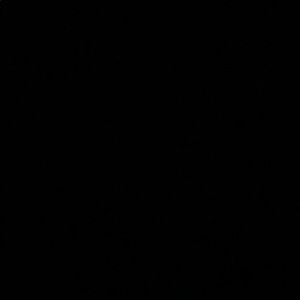 Meet your Posher, Trevor